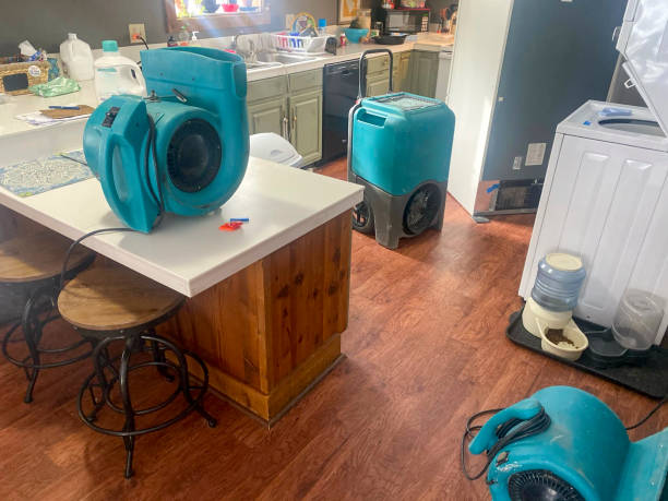 Best Water damage restoration near me  in Pacific Grove, CA