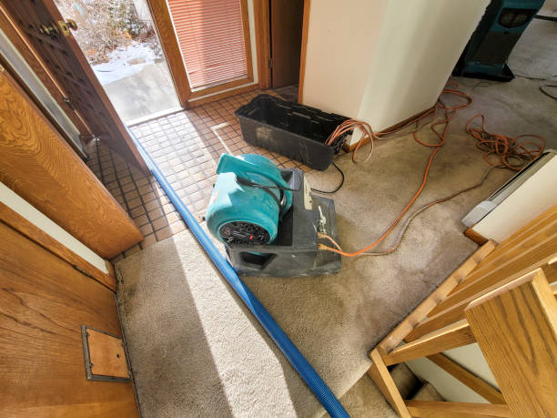 Best Local water damage restoration  in Pacific Grove, CA