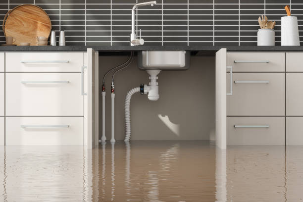 Best 24/7 water damage repair  in Pacific Grove, CA